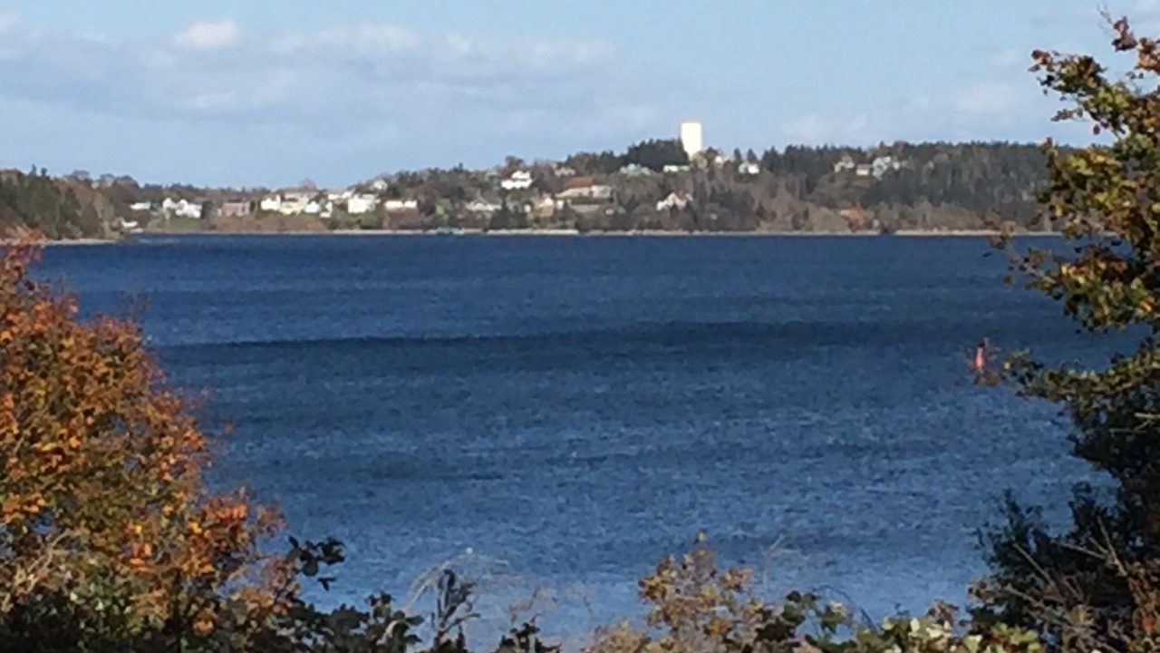 Photo of Others in Lunenburg