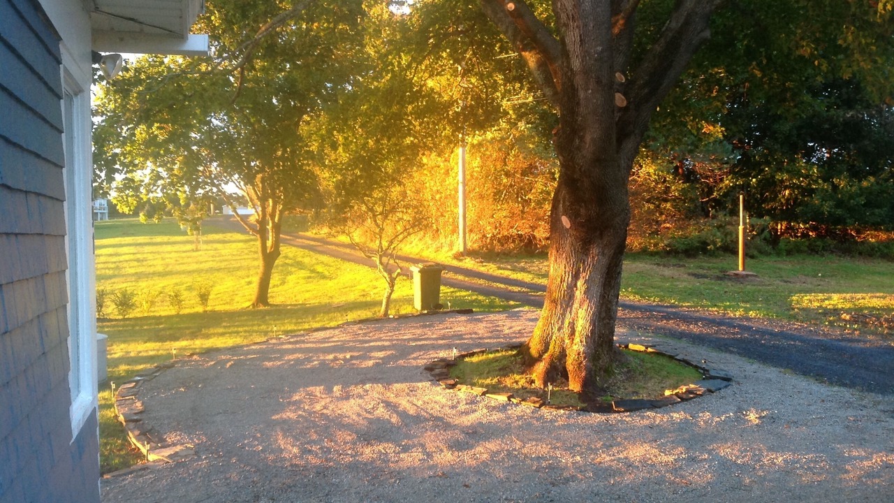 Photo of Outdoor in Lunenburg