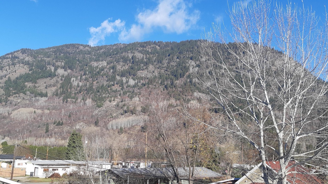 Photo of Others in Castlegar