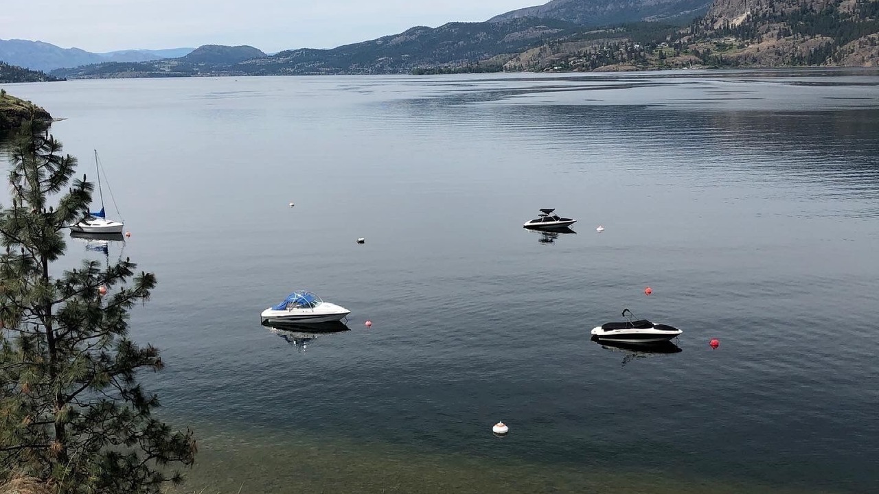 Photo of Others in Central Okanagan