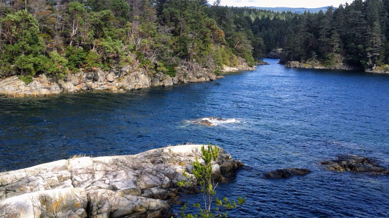 Photo of Others in Halfmoon Bay