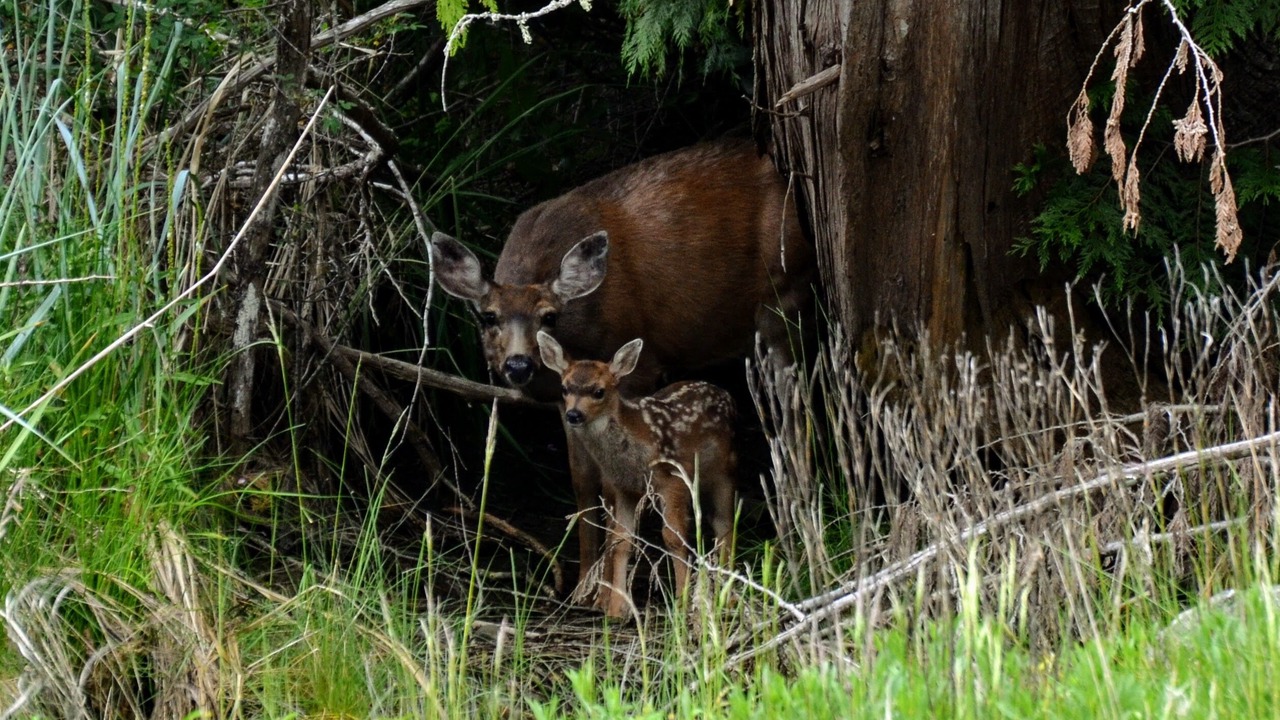 Photo of Others in Halfmoon Bay