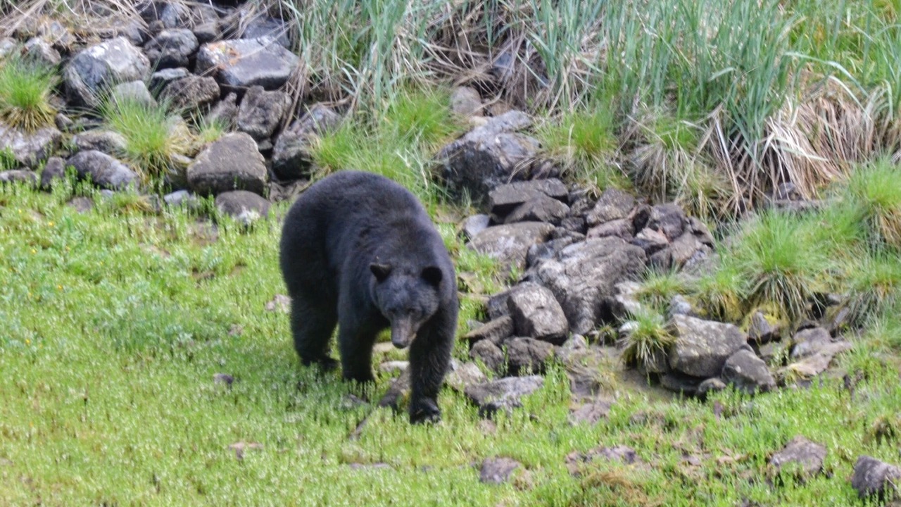 Photo of Others in Halfmoon Bay