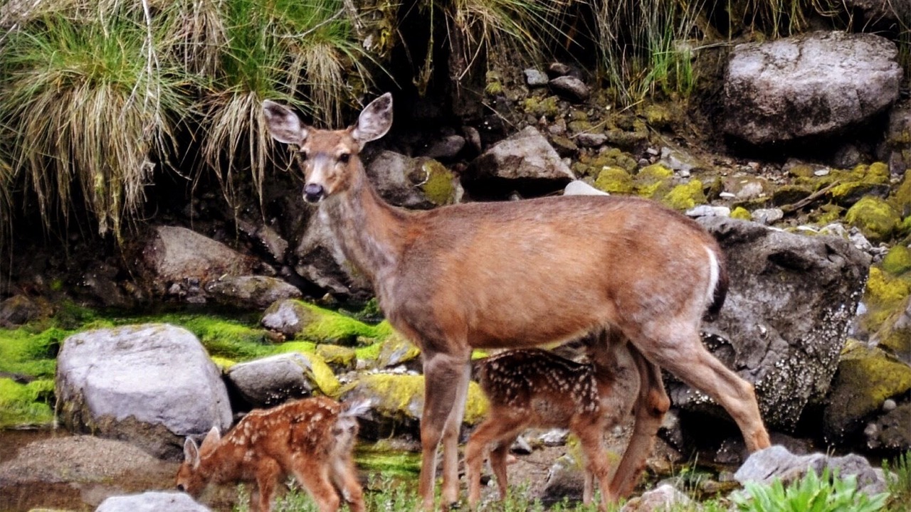 Photo of Others in Halfmoon Bay
