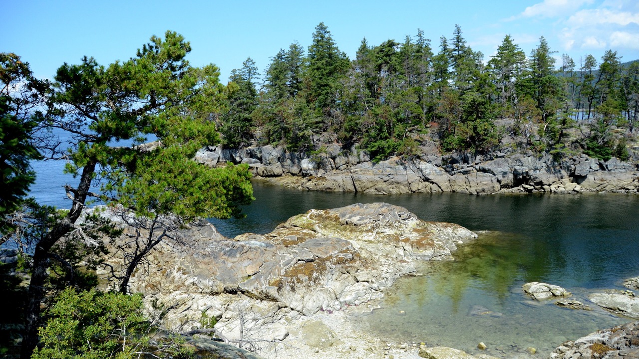 Photo of Others in Halfmoon Bay