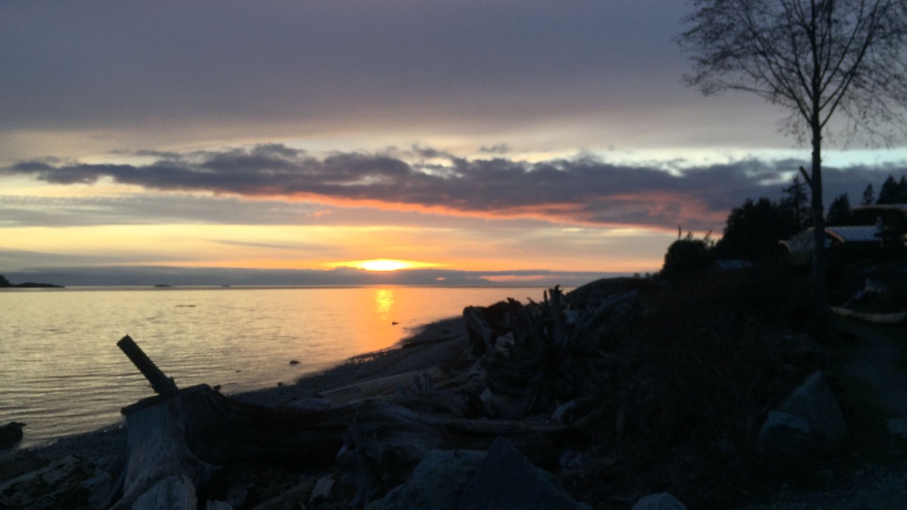 Photo of Others in Halfmoon Bay