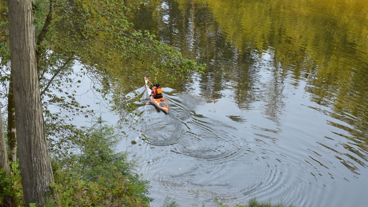 Photo of Others in Halfmoon Bay