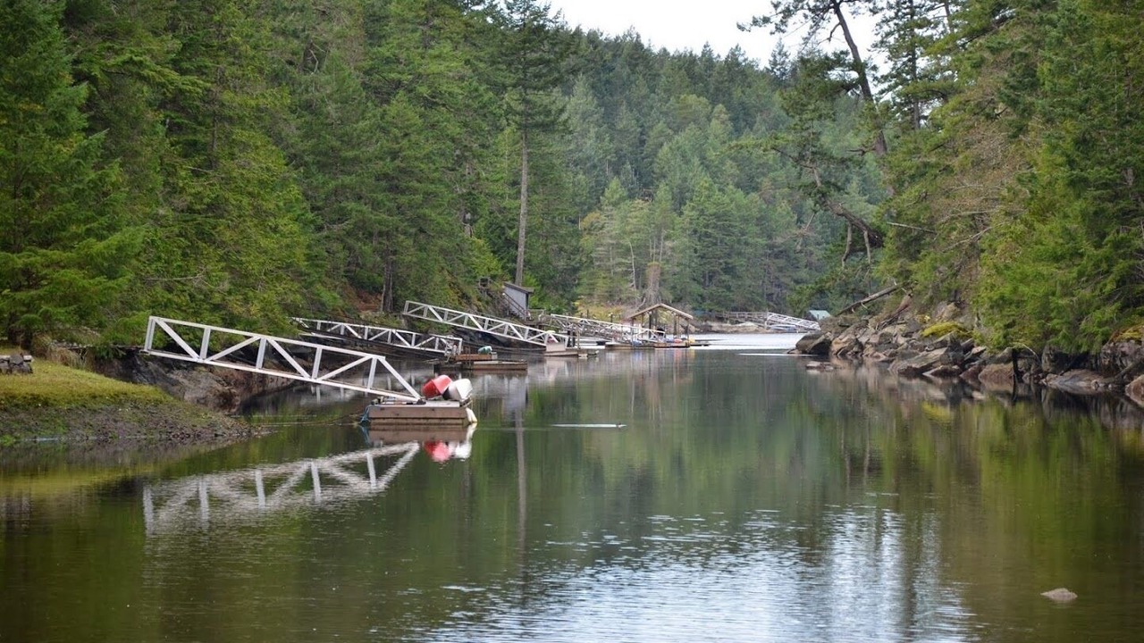 Photo of Others in Halfmoon Bay