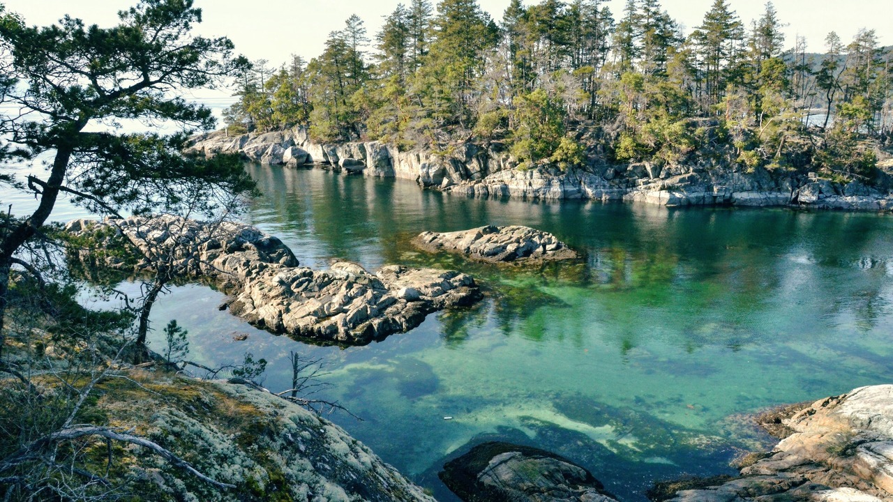 Photo of Others in Halfmoon Bay