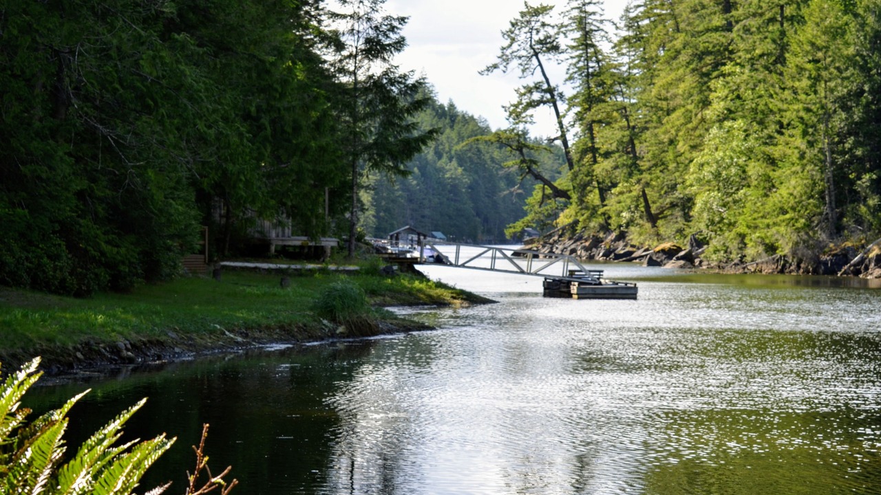 Photo of Others in Halfmoon Bay