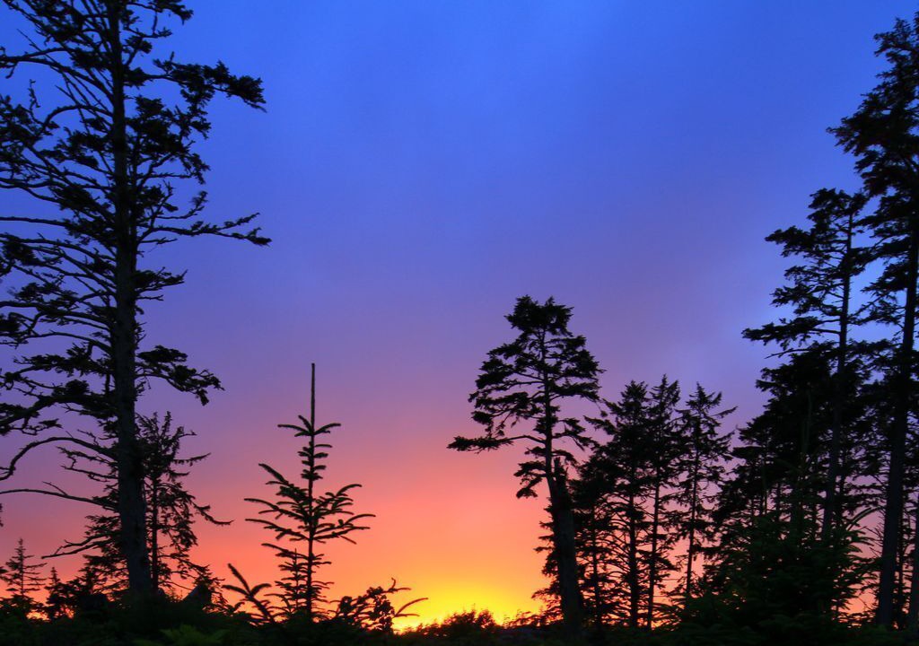Photo of Others in Ucluelet