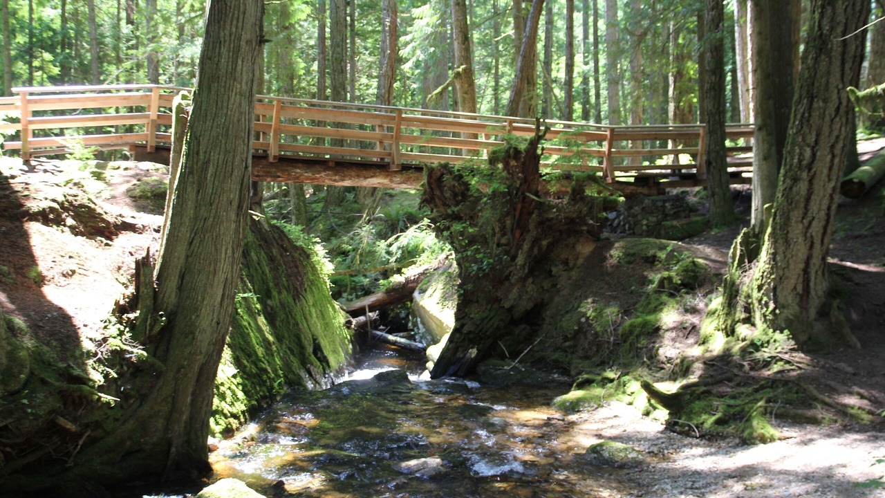 Photo of Others in Roberts Creek