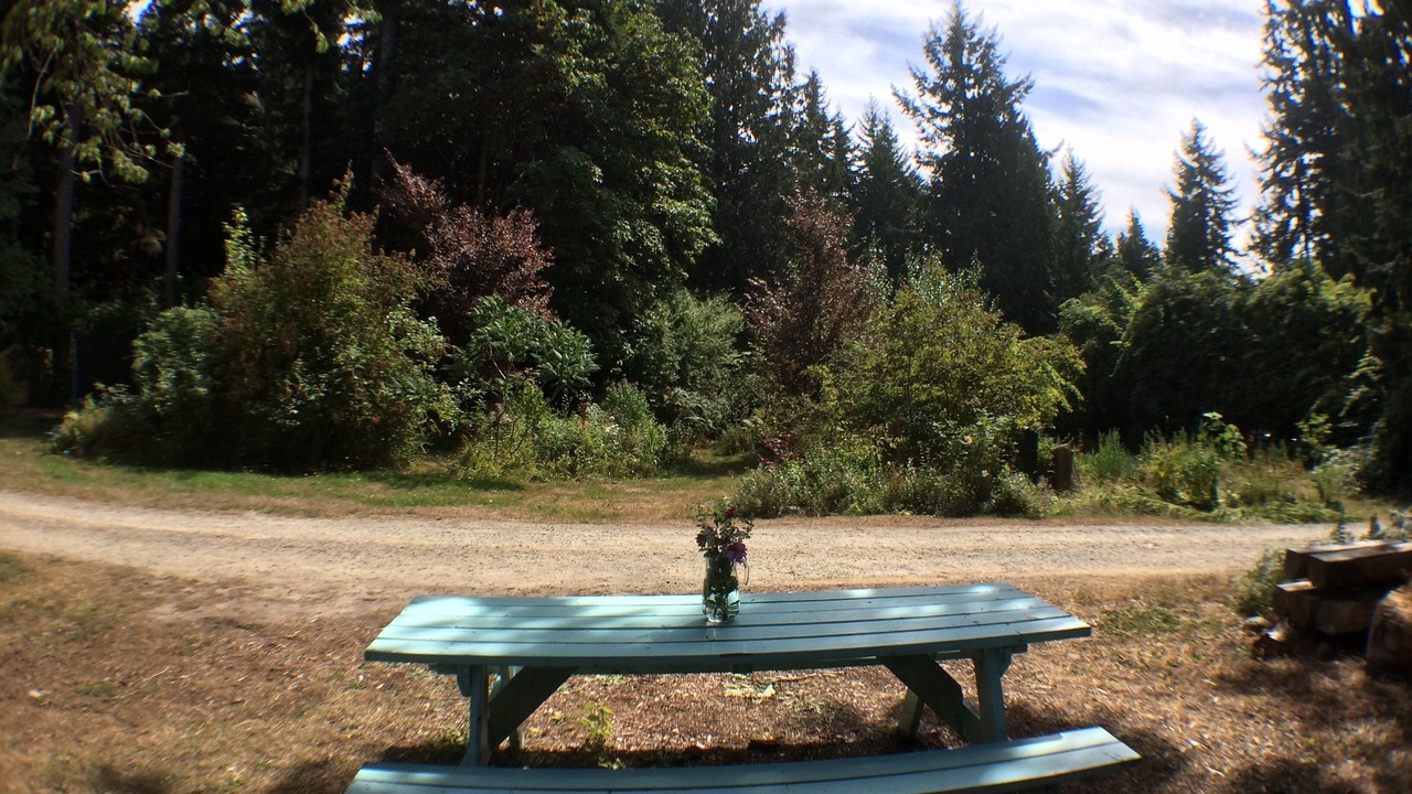 Photo of Outdoor in Roberts Creek
