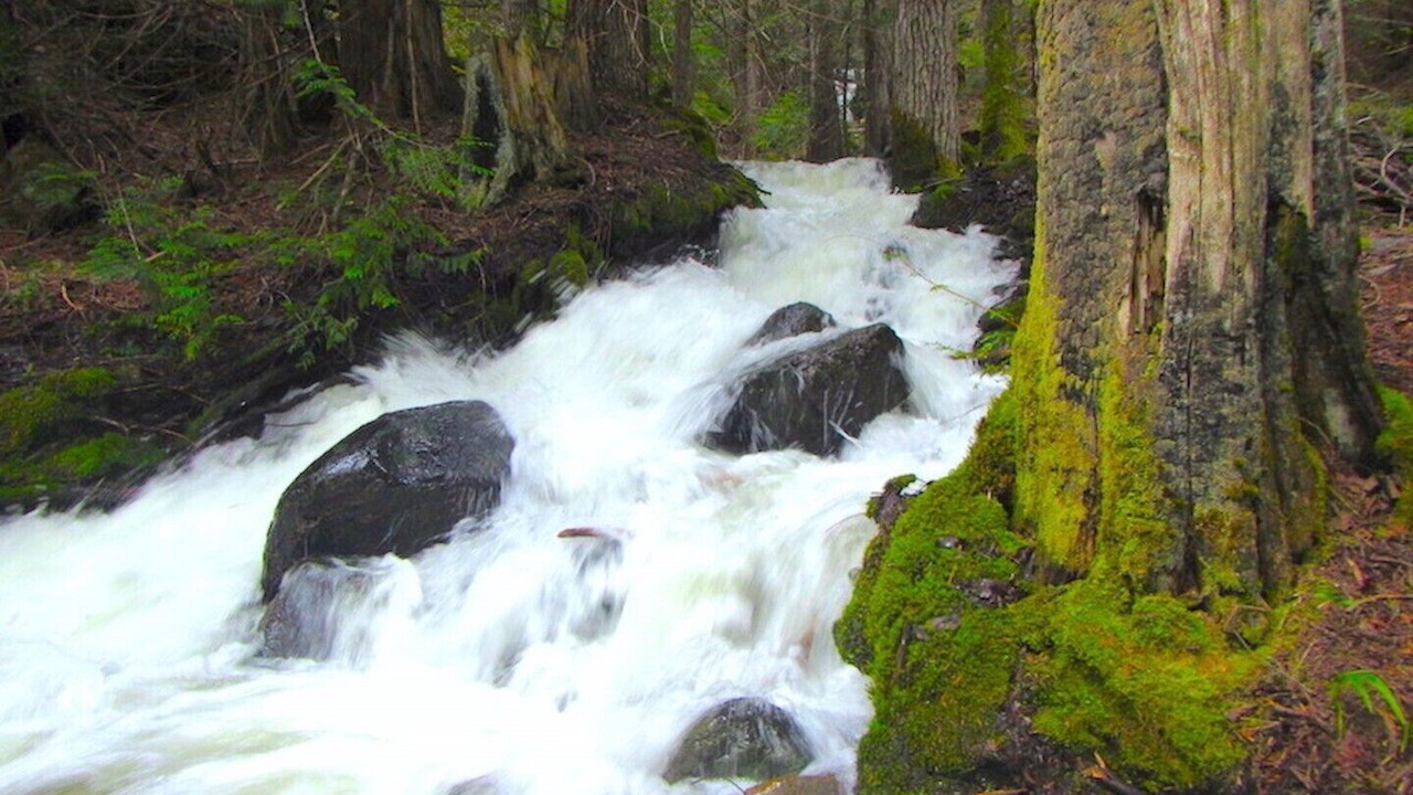 Photo of Outdoor in Ymir