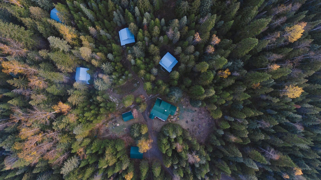 Photo of Outdoor in Ymir