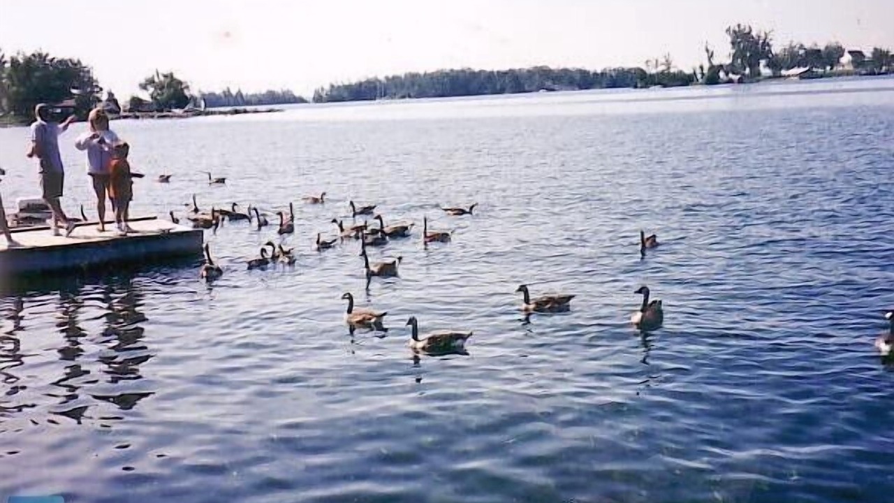 Photo of Outdoor in Leeds and the Thousand Islands