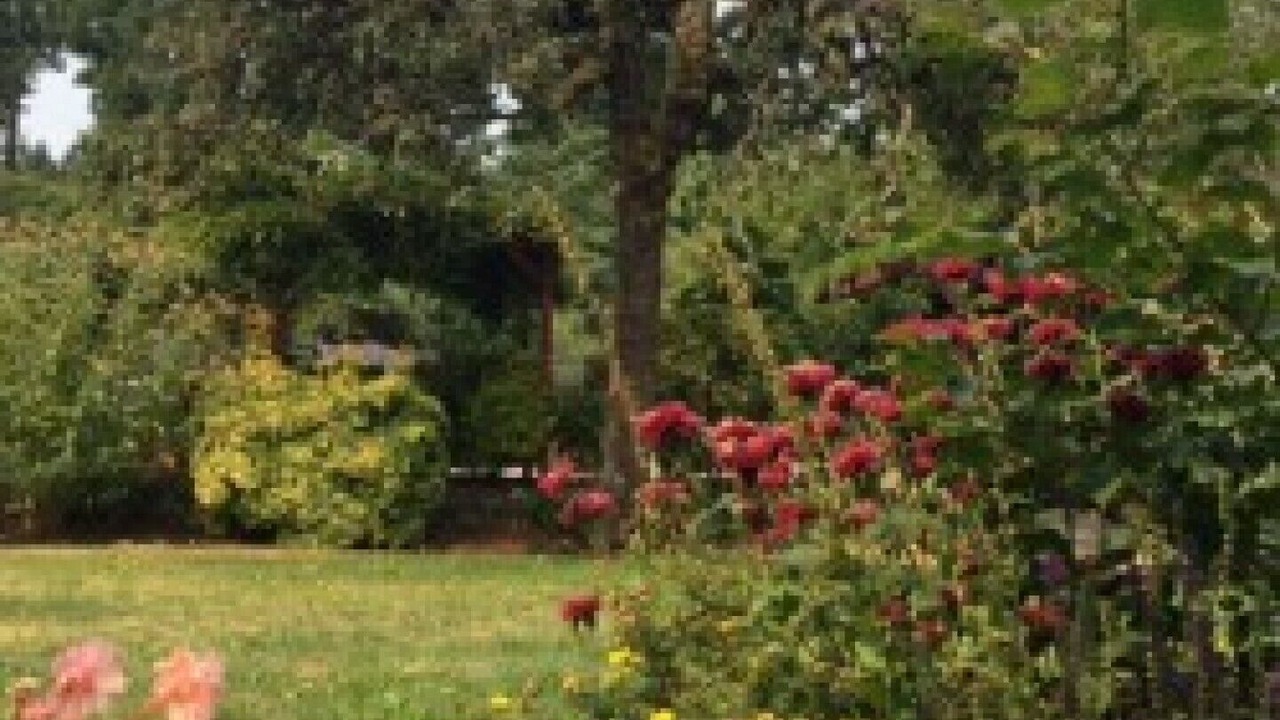 Photo of Outdoor in Mill Bay