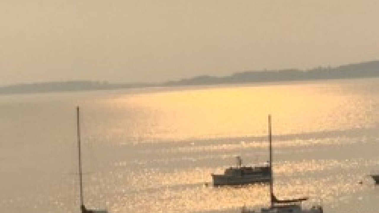Photo of Others in Mill Bay