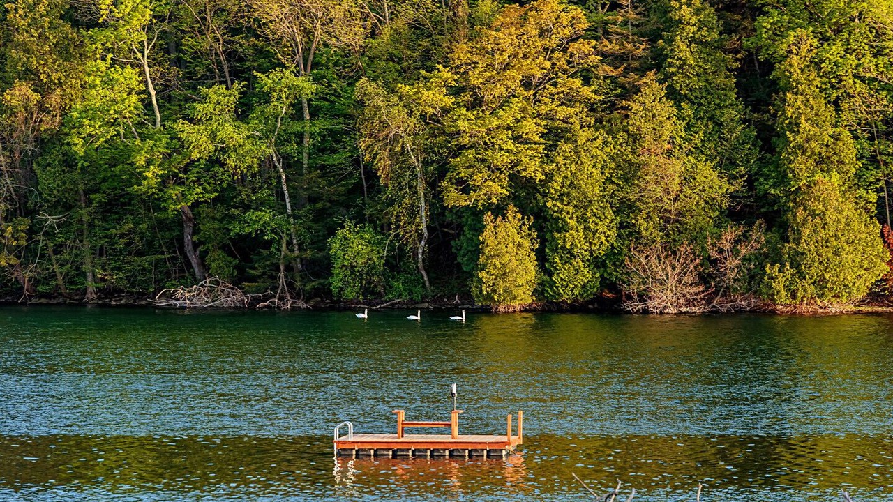 Photo of Outdoor in Milford