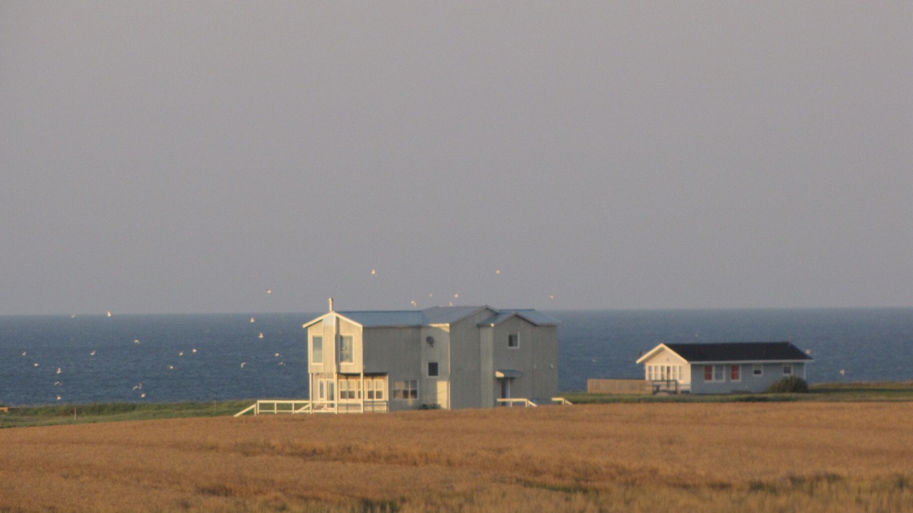 Photo of Outdoor in French River