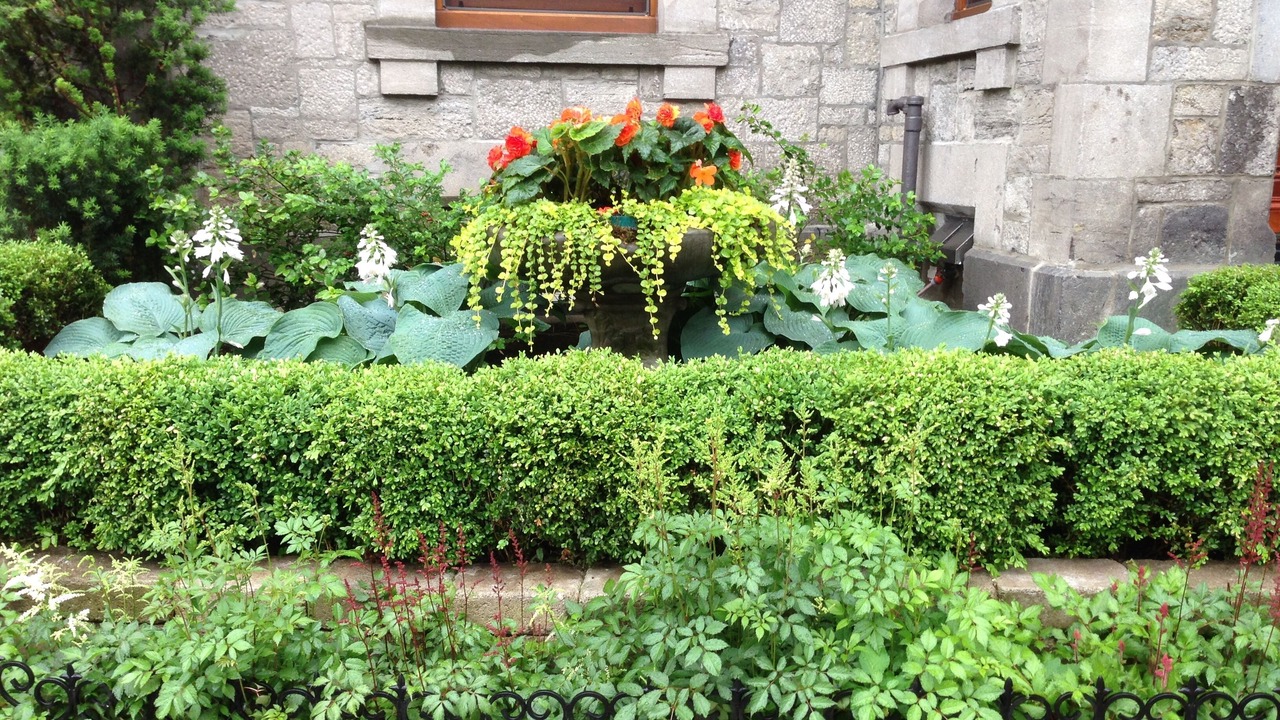 Photo of Outdoor in Downtown Montreal