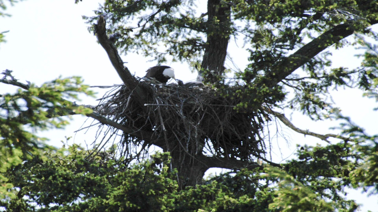 Photo of Others in Salt Spring Island