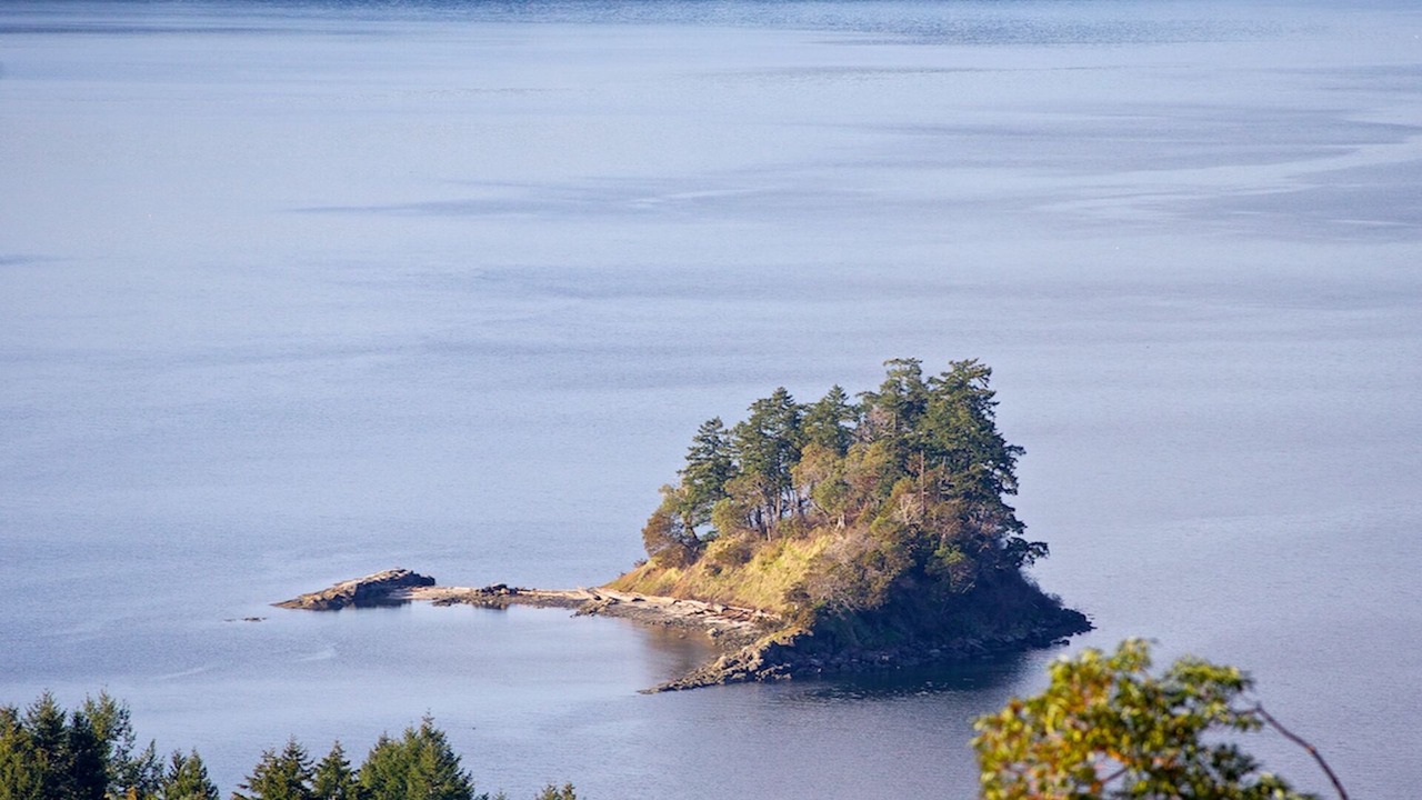 Photo of Others in Salt Spring Island