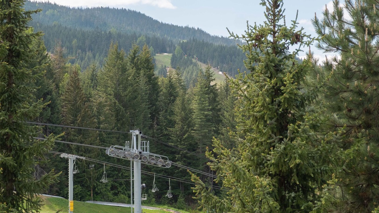 Photo of Others in Whistler