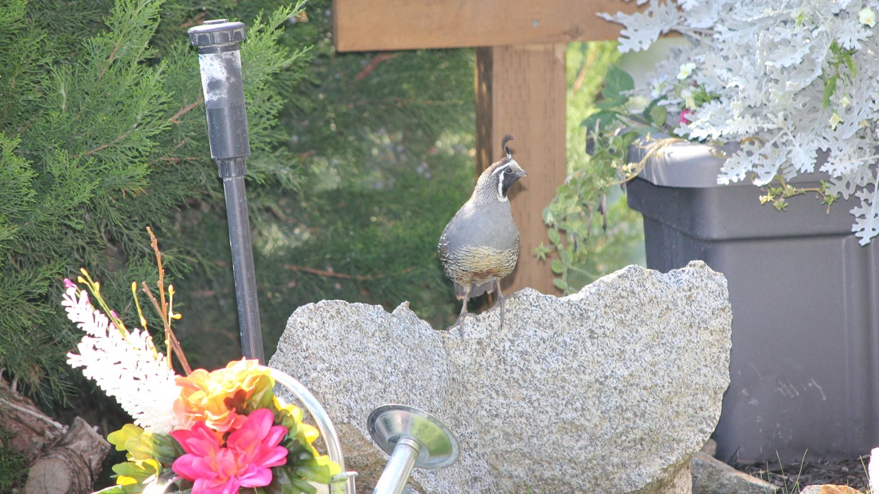 Photo of Others in Central Okanagan