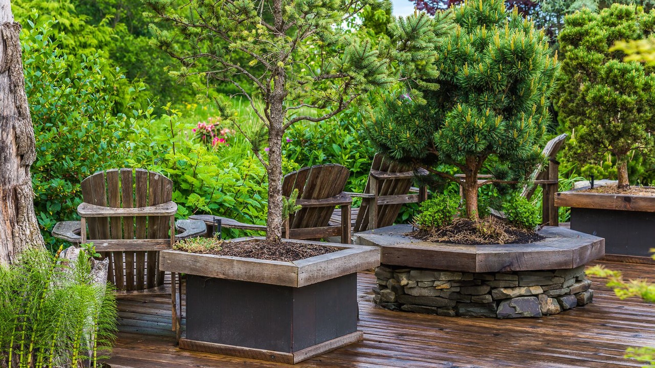 Photo of Outdoor in Regional District of Nanaimo