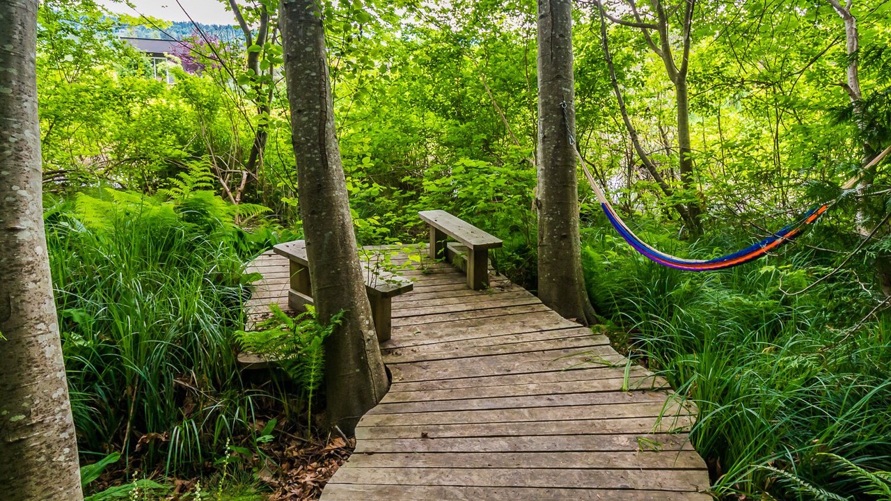 Photo of Outdoor in Regional District of Nanaimo