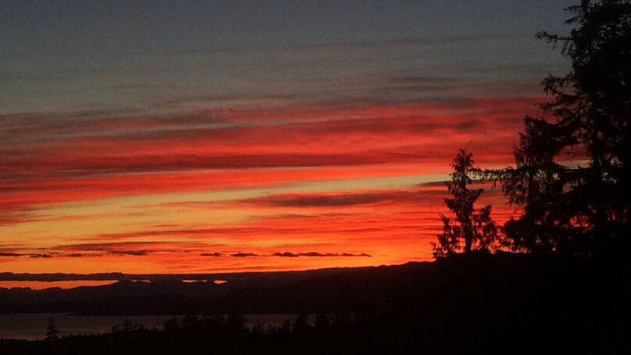Photo of Others in Halfmoon Bay