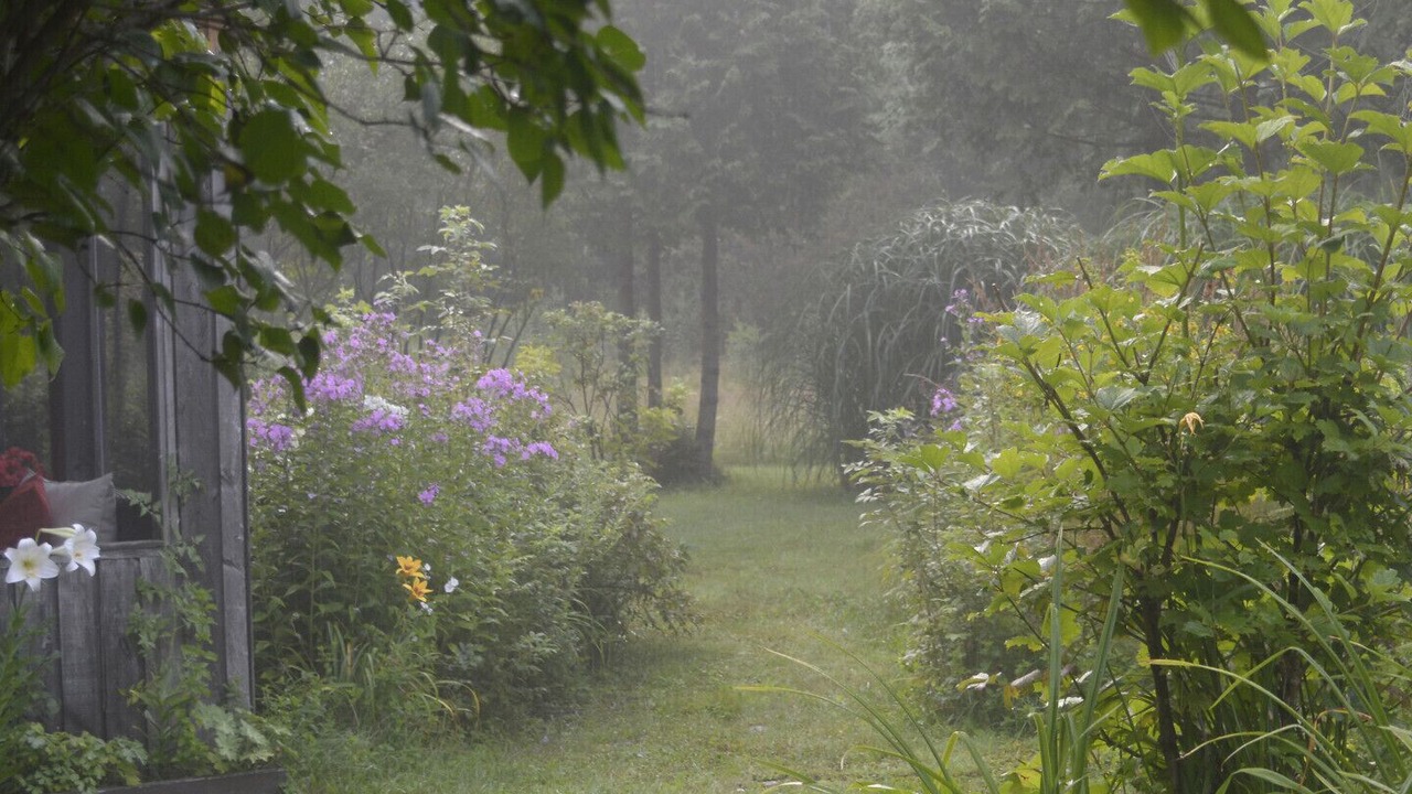 Photo of Outdoor in Sutton