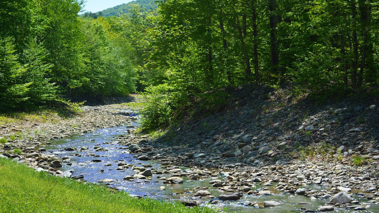 Photo of Outdoor in Sutton