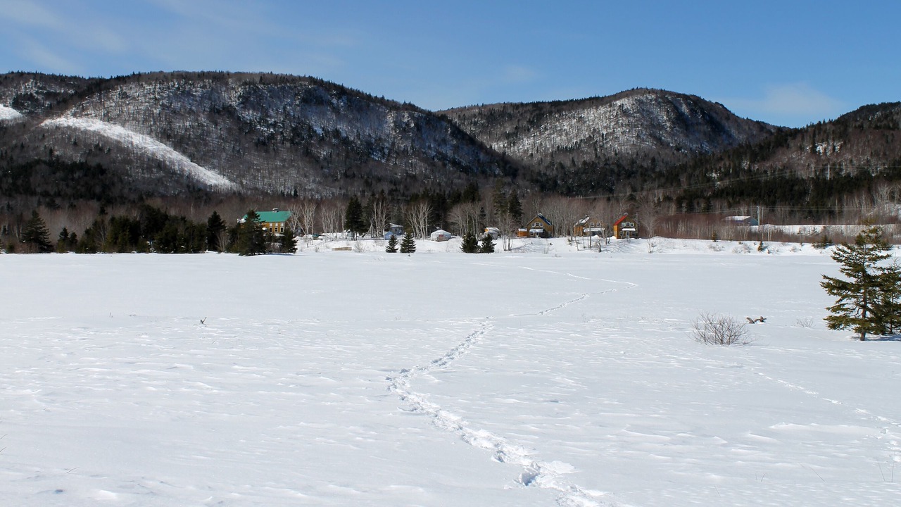Photo of Others in Indian Brook