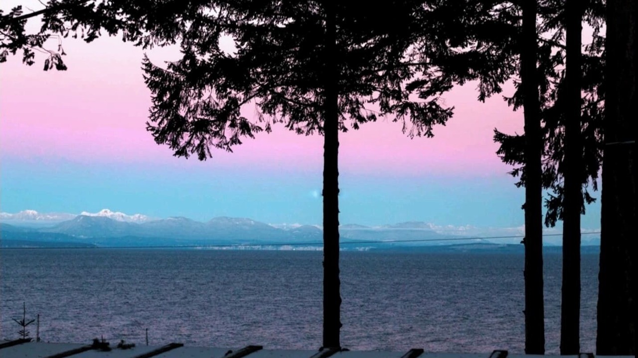 Photo of Others in Courtenay