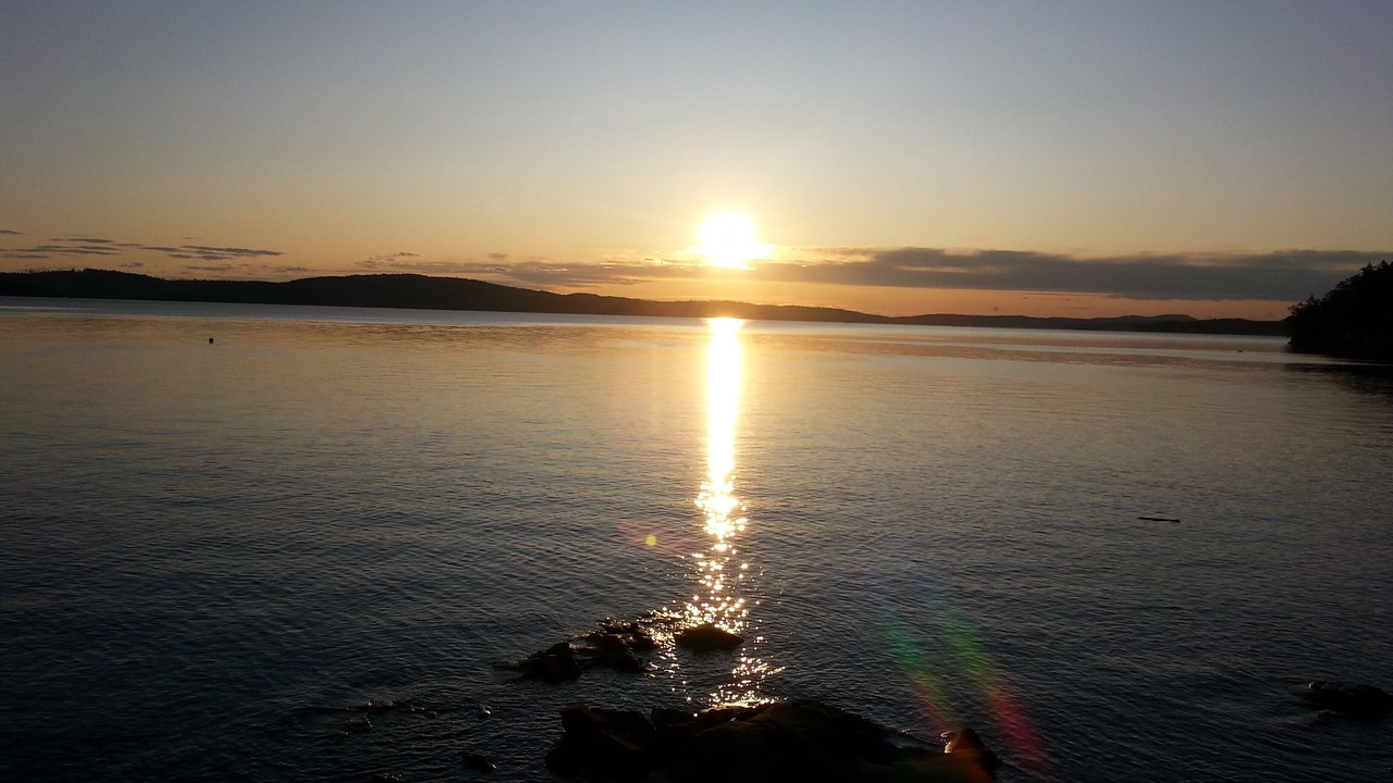 Photo of Others in Yellow Point