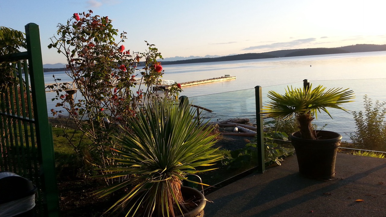 Photo of Outdoor in Yellow Point