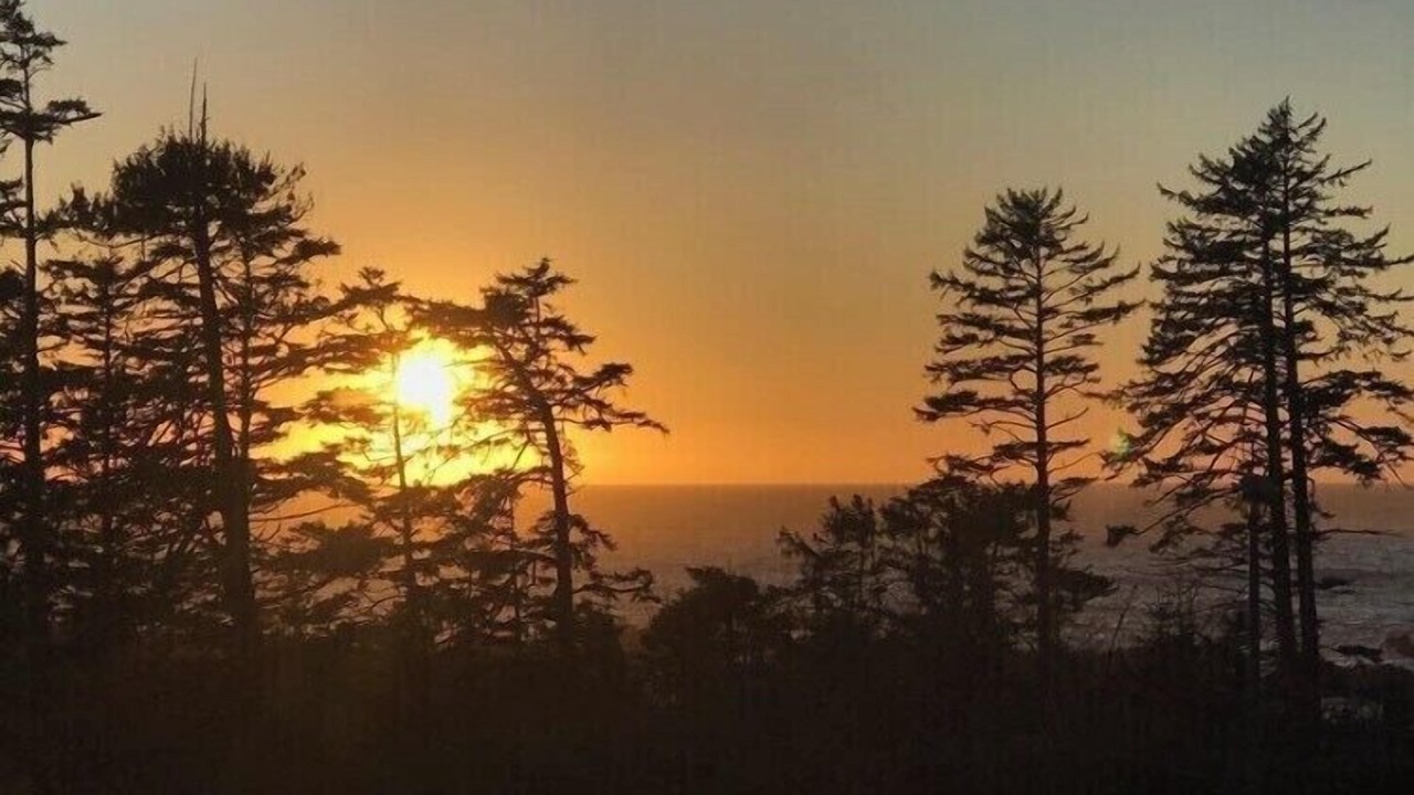 Photo of Others in Ucluelet