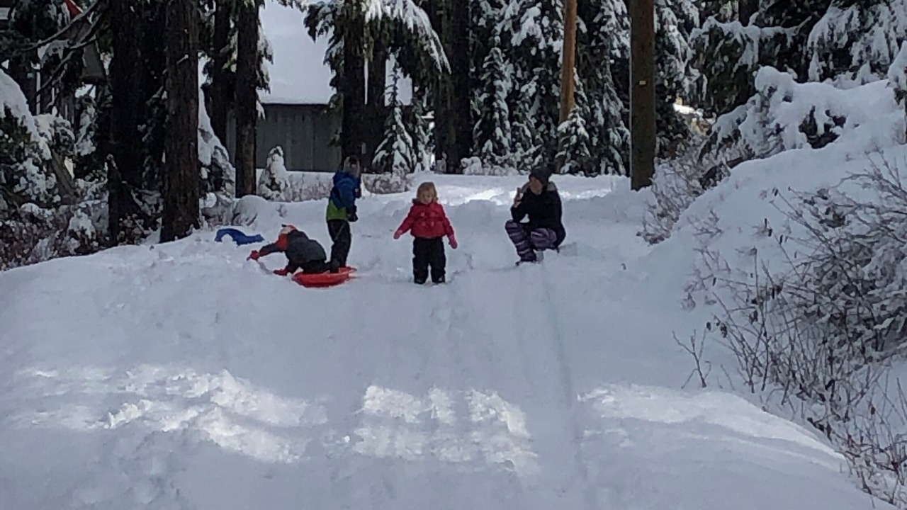 Photo of Others in Courtenay