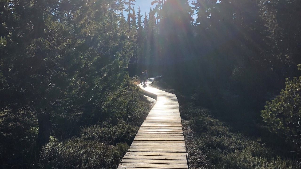 Photo of Outdoor in Courtenay
