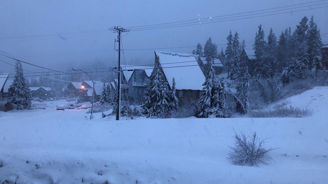 Photo of Others in Courtenay