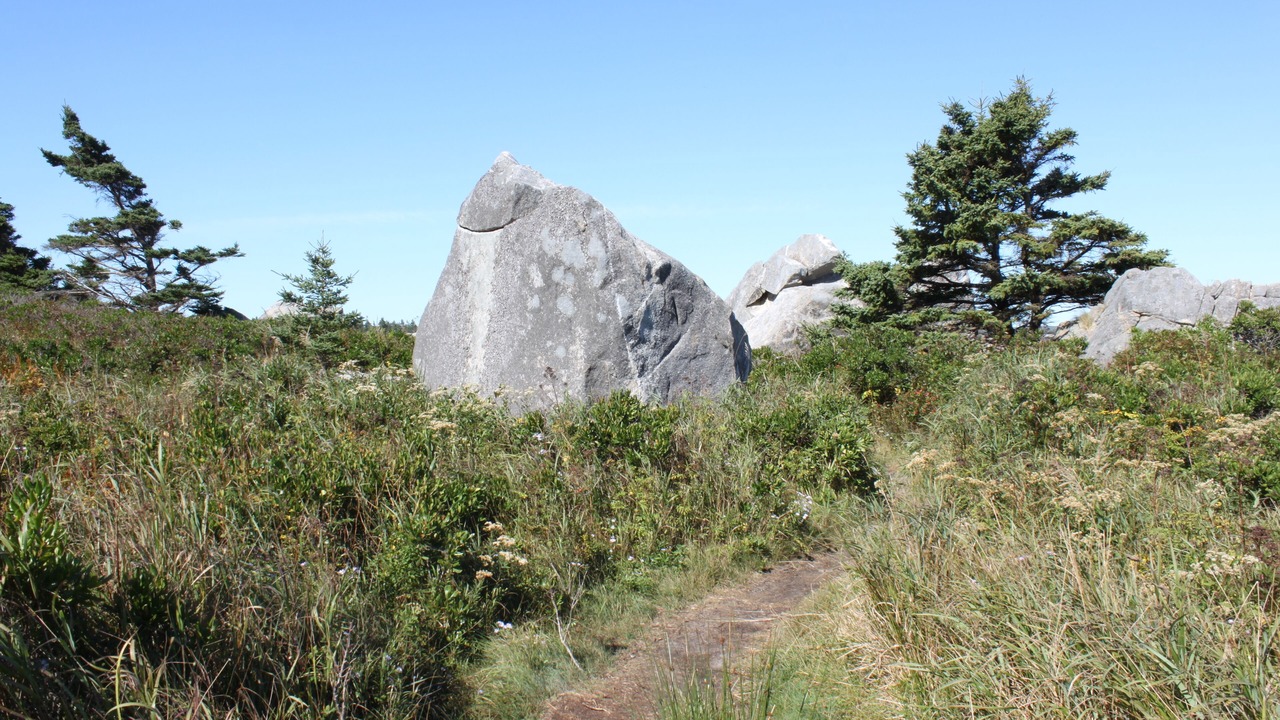 Photo of Outdoor in LaBelle