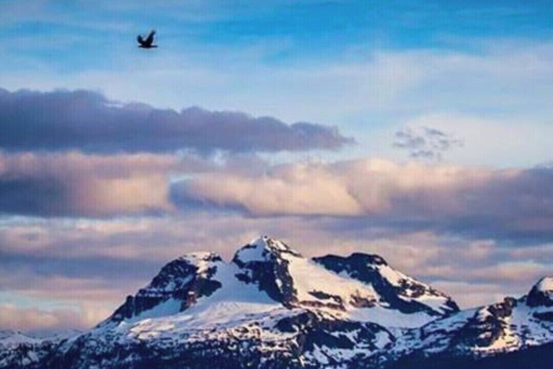 Photo of Outdoor in Revelstoke
