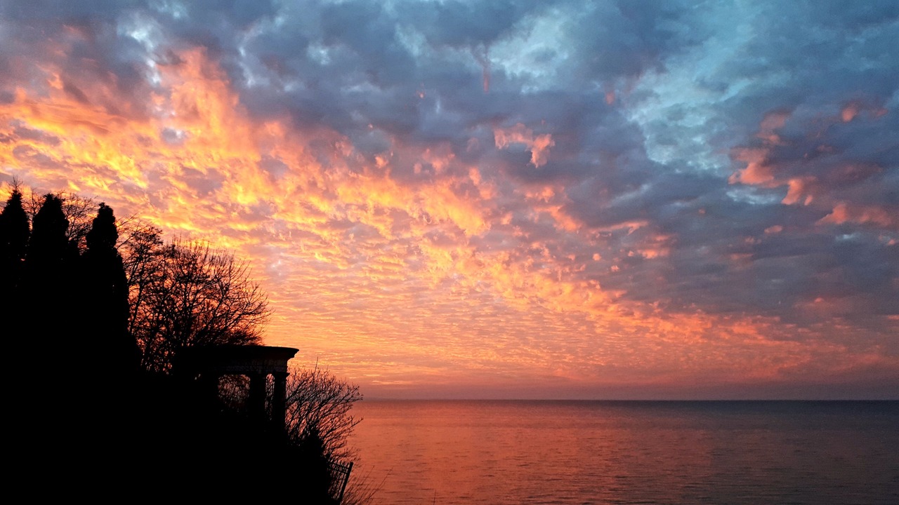 Photo of Others in Port Dalhousie
