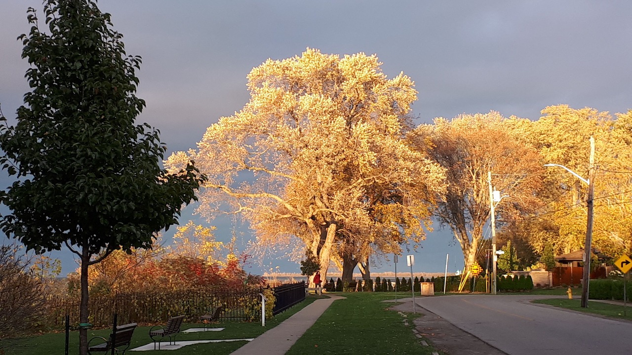 Photo of Others in Port Dalhousie