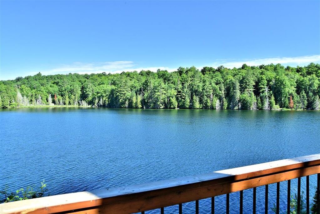 Photo of Outdoor in Trent Lakes