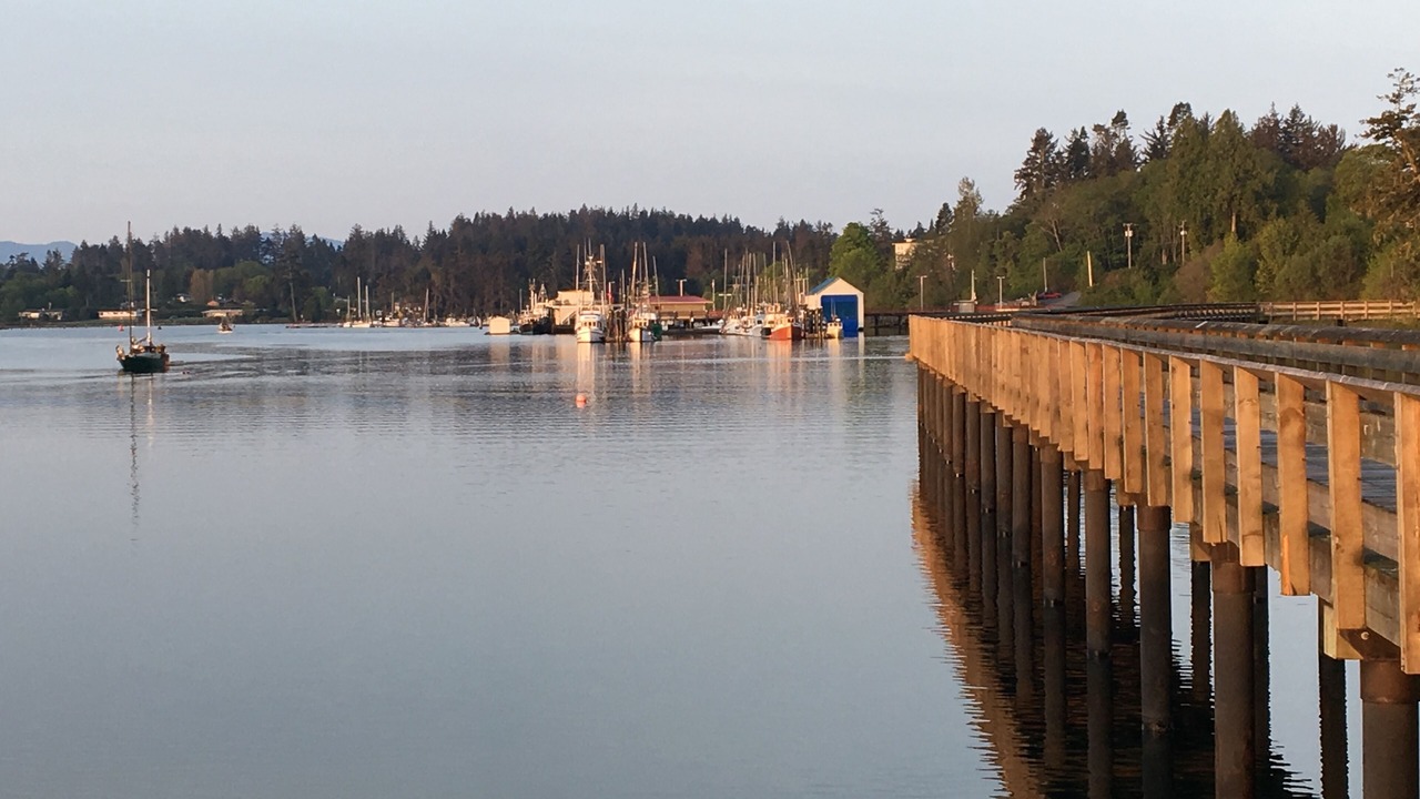Photo of Others in Sooke