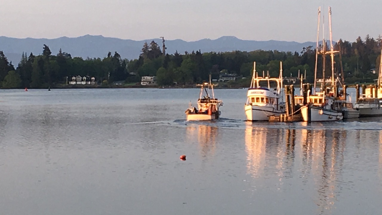 Photo of Others in Sooke