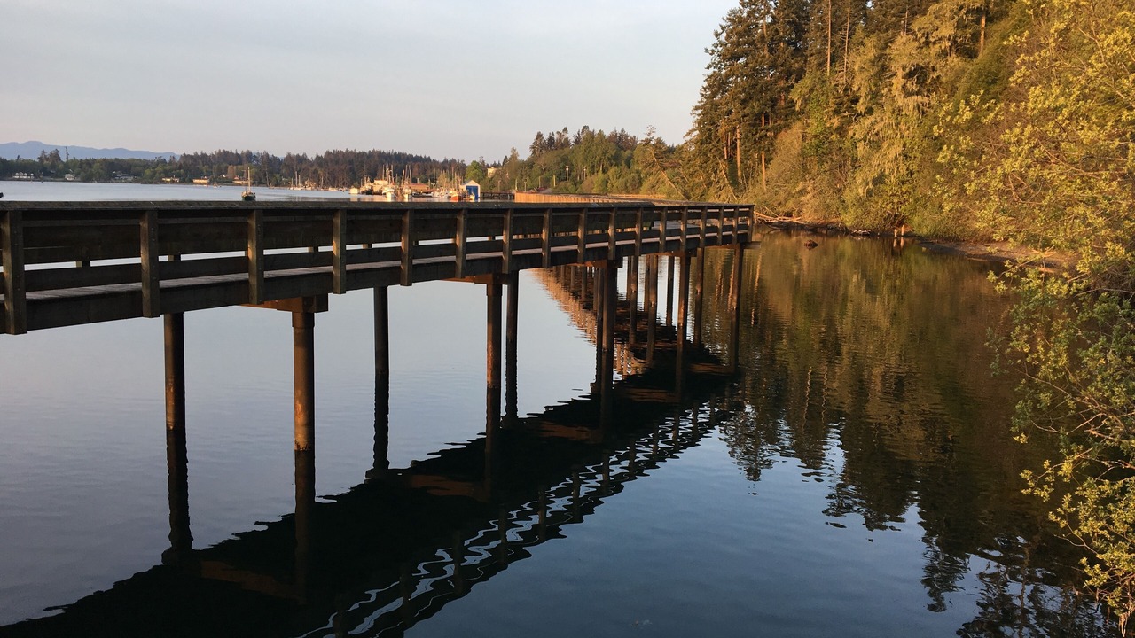 Photo of Others in Sooke